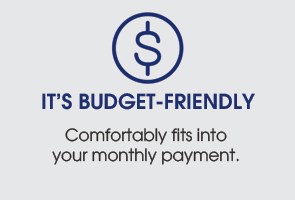 295x200_VDP_Budget 295x200_VDP_Budget
